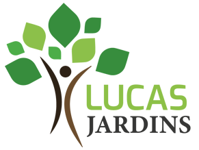 Lucas Jardins